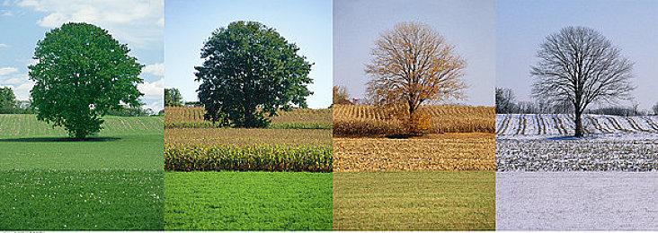 PS Plus高级会员复古游戏泄露 昔日经典陆续回归